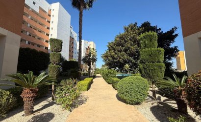 Herverkoop - Apartamento -
Guardamar del Segura - Avenida del Puerto