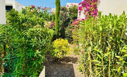 Herverkoop - Villa -
Algorfa - La finca Golf
