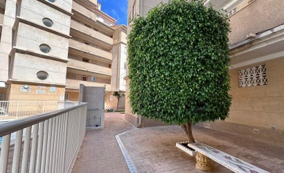 Revente - Apartment -
Torrevieja - Habaneras