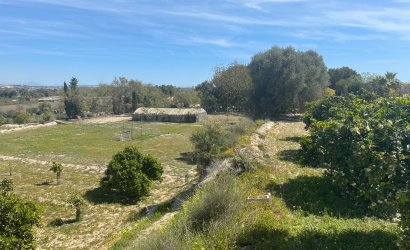 Reventa - Villa -
Guardamar del Segura - Costa Blanca