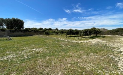 Reventa - Villa -
Guardamar del Segura - Costa Blanca