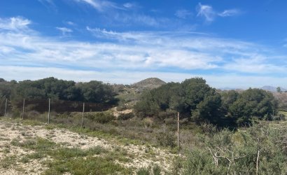 Reventa - Villa -
Guardamar del Segura - Costa Blanca