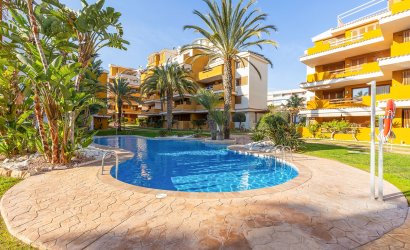 Reventa - Apartment -
Torrevieja - Costa Blanca