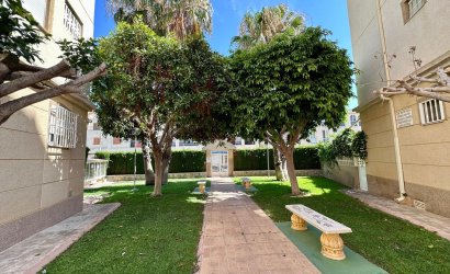 Reventa - Apartment -
Torrevieja - Habaneras