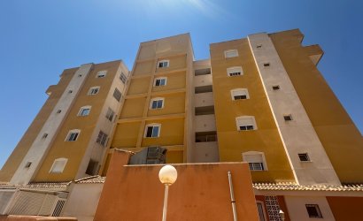 Resale - Apartment -
Guardamar del Segura - Costa Blanca