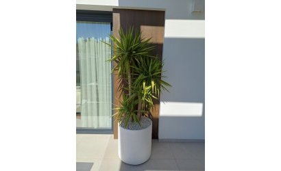 Reventa - Villa -
Rojales - Inland