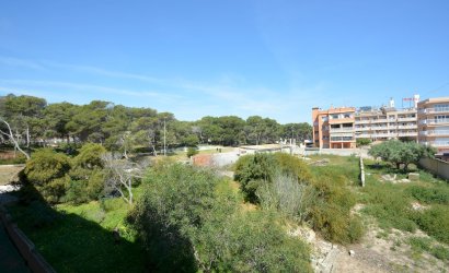 Reventa - Apartment -
Guardamar del Segura - Costa Blanca