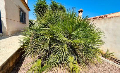 Herverkoop - Villa -
Torrevieja - Costa Blanca