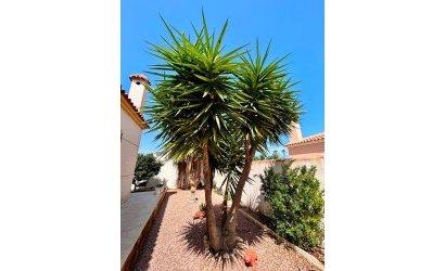 Herverkoop - Villa -
Torrevieja - Costa Blanca