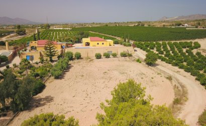 Herverkoop - Country House -
Albatera - Albatera - Country