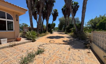 Herverkoop - Finca -
Dolores - Comunidad Valenciana