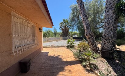 Herverkoop - Finca -
Dolores - Comunidad Valenciana