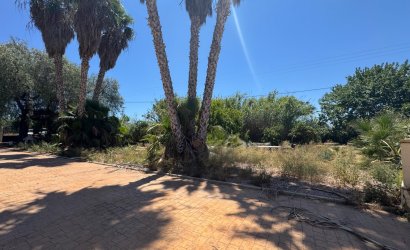 Herverkoop - Finca -
Dolores - Comunidad Valenciana