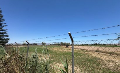 Herverkoop - Finca -
Dolores - Comunidad Valenciana
