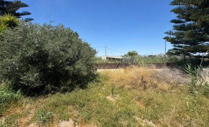 Herverkoop - Finca -
Dolores - Comunidad Valenciana