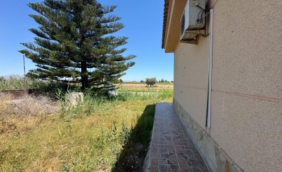 Herverkoop - Finca -
Dolores - Comunidad Valenciana