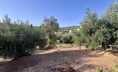 Herverkoop - Finca -
Algarinejo - Inland