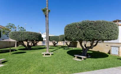 Reventa - Apartment -
Torrevieja - Costa Blanca