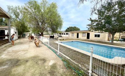 Herverkoop - Finca / Country Property -
Orihuela