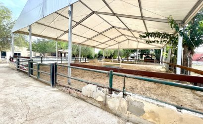 Herverkoop - Finca / Country Property -
Orihuela
