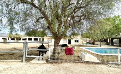 Herverkoop - Finca / Country Property -
Orihuela