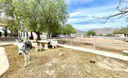 Herverkoop - Finca / Country Property -
Orihuela