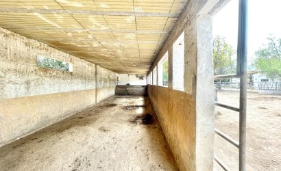 Herverkoop - Finca / Country Property -
Orihuela