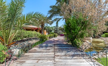 Herverkoop - Villa -
Elche