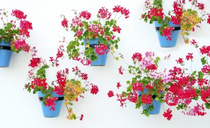 New Build - Apartment -
Mijas - La Noria Golf