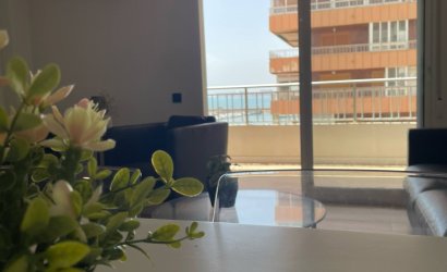 Reventa - Apartment -
Torrevieja