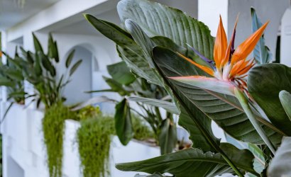 Herverkoop - Apartment -
Marbella - Los Monteros