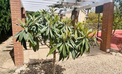 Resale - Villa -
Benidorm