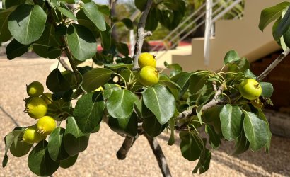 Resale - Villa -
Benidorm