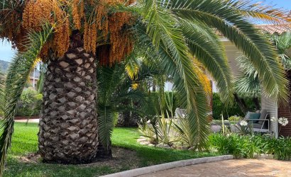 Resale - Villa -
Benidorm