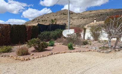 Herverkoop - Villa -
Fortuna