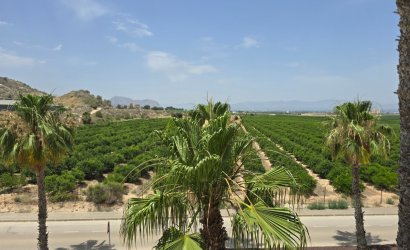 Reventa - Villa -
Algorfa - La finca Golf