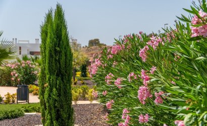 Nieuwbouw Woningen - Town House -
Orihuela - Vistabella Golf