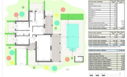 Obra nueva - Villa -
Pinoso - Rodriguillo