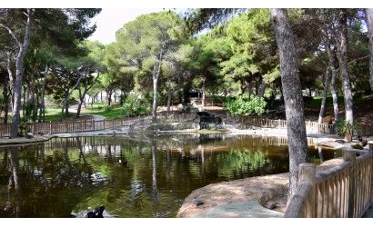 Reventa - Land -
Guardamar del Segura