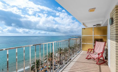Reventa - Apartment -
Torrevieja