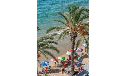 Reventa - Apartment -
Torrevieja