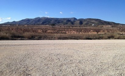 Resale - Country House -
Pinoso