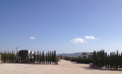 Resale - Country House -
Pinoso