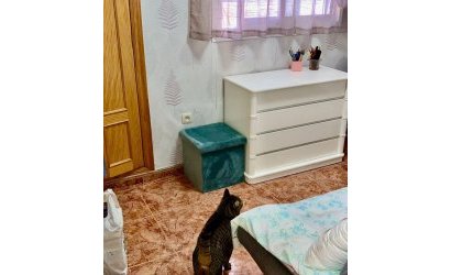 Reventa - Apartment -
Benidorm - Playa de Poniente