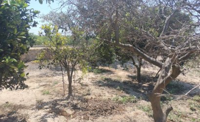 Revente - Country House -
Rojales - Ciudad Quesada