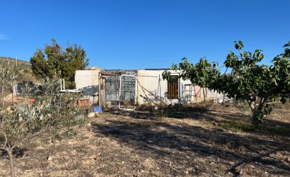 Herverkoop - Country House -
Sax