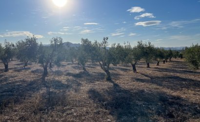 Herverkoop - Country House -
Sax