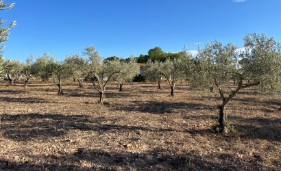 Herverkoop - Country House -
Sax