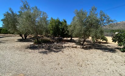 Revente - Country House -
Salinas