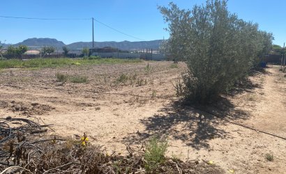 Revente - Country House -
Salinas